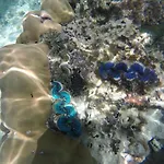 Sofitel Bora Bora