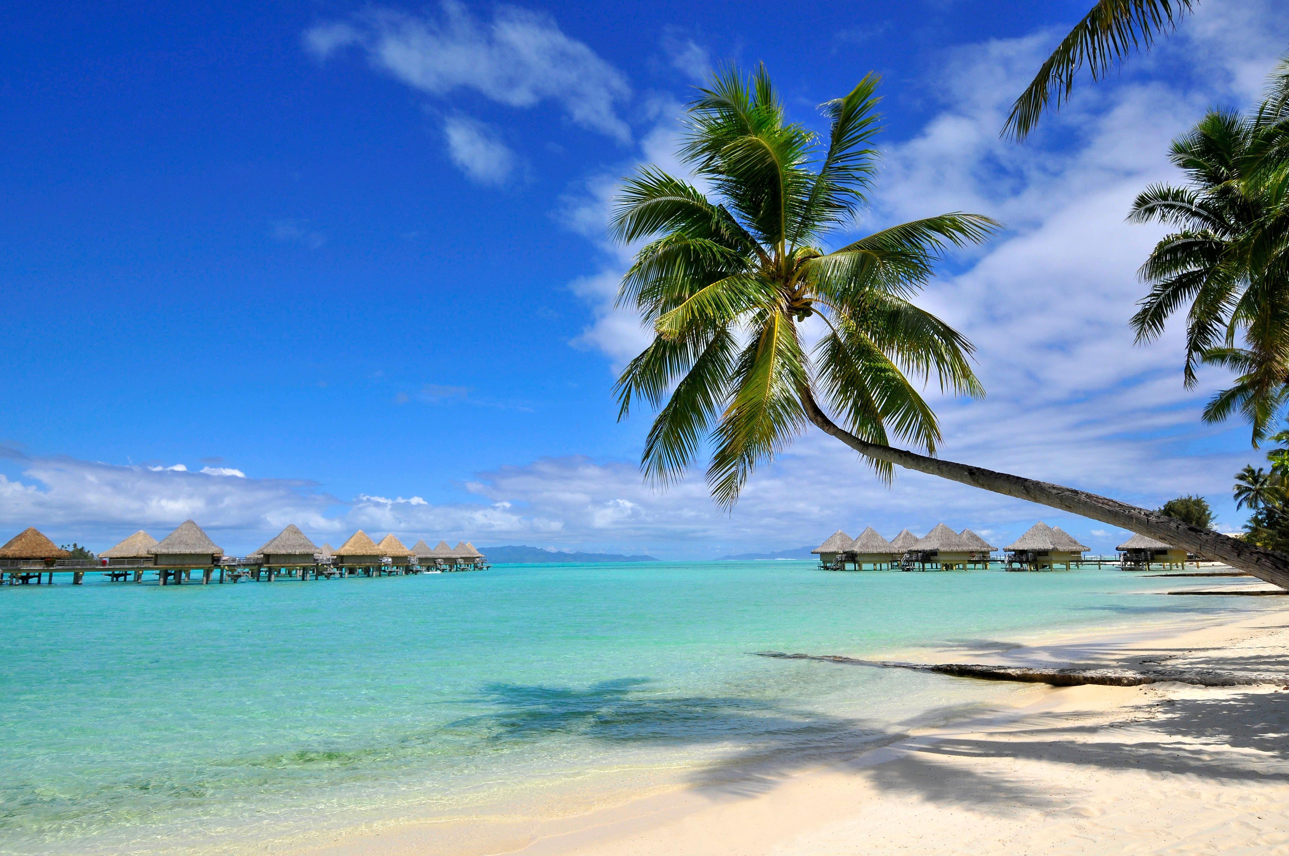 Resort Intercontinental Le Moana By Ihg