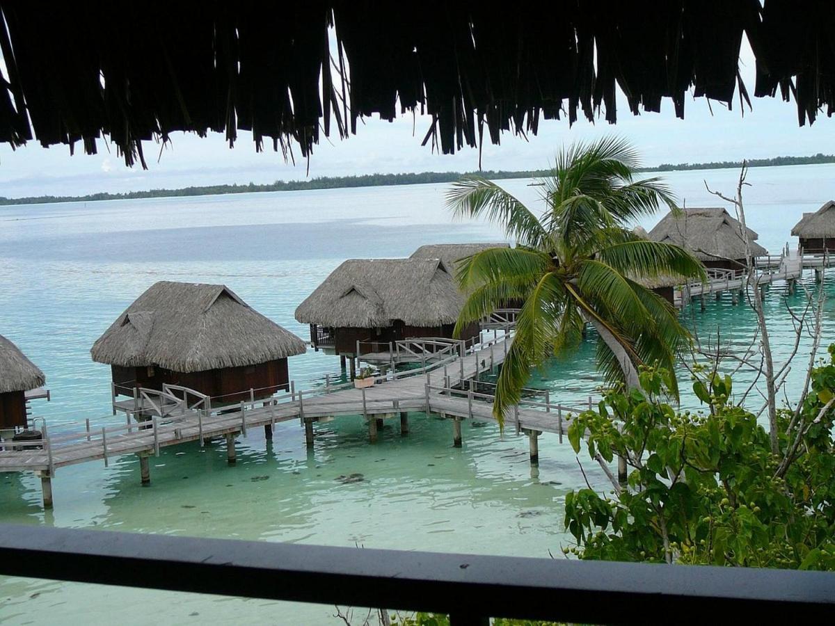 Sofitel *