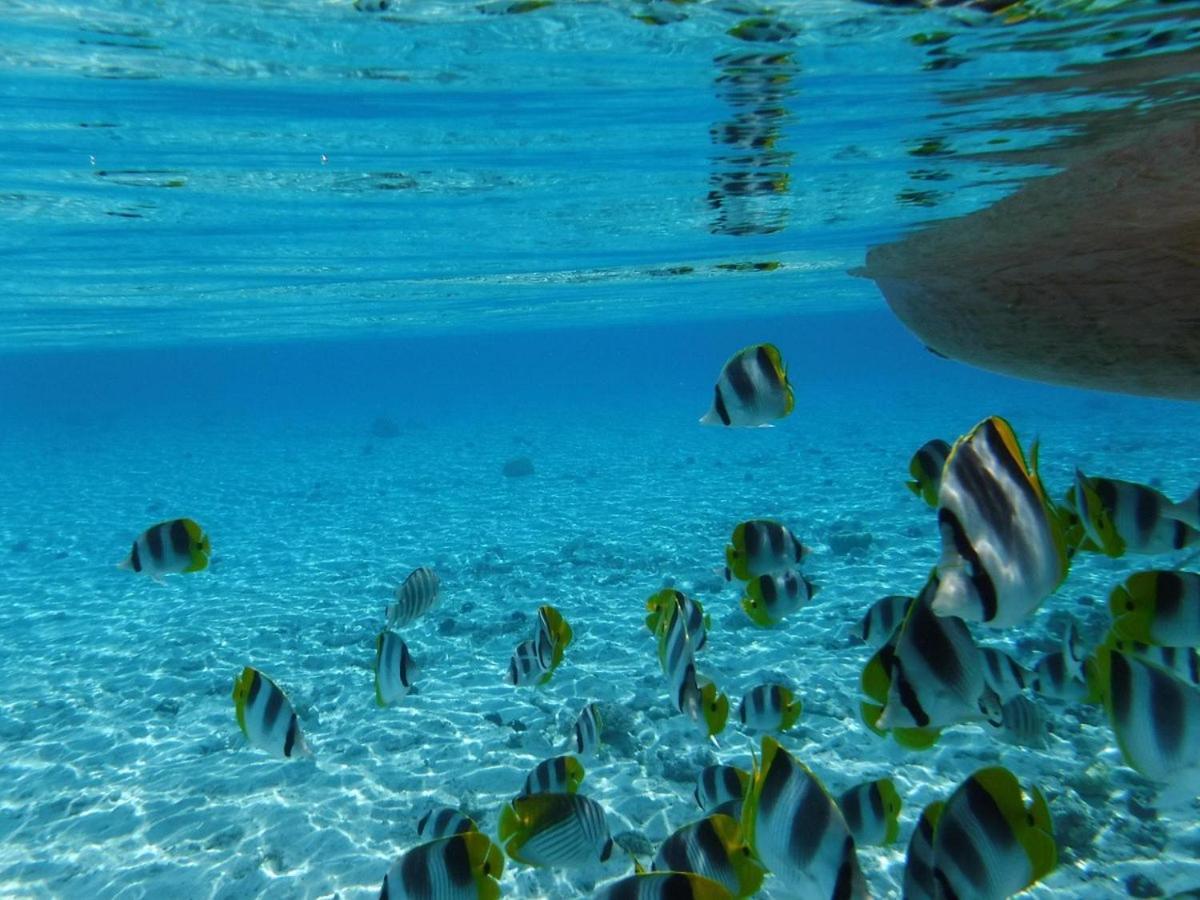 Sofitel * Bora Bora