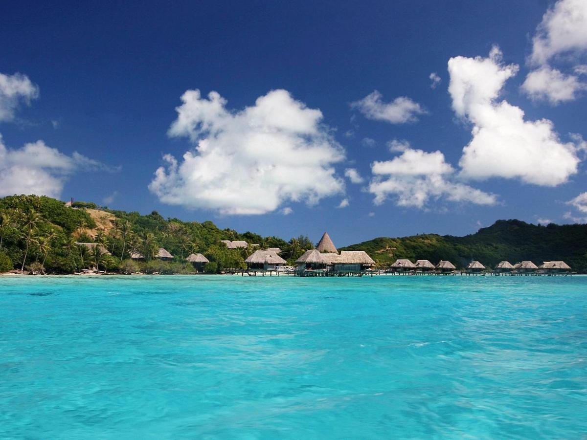 Sofitel *