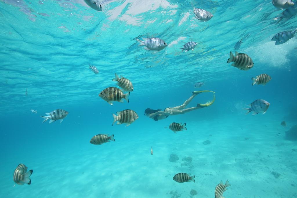 Sofitel Private Island Hotel 5*