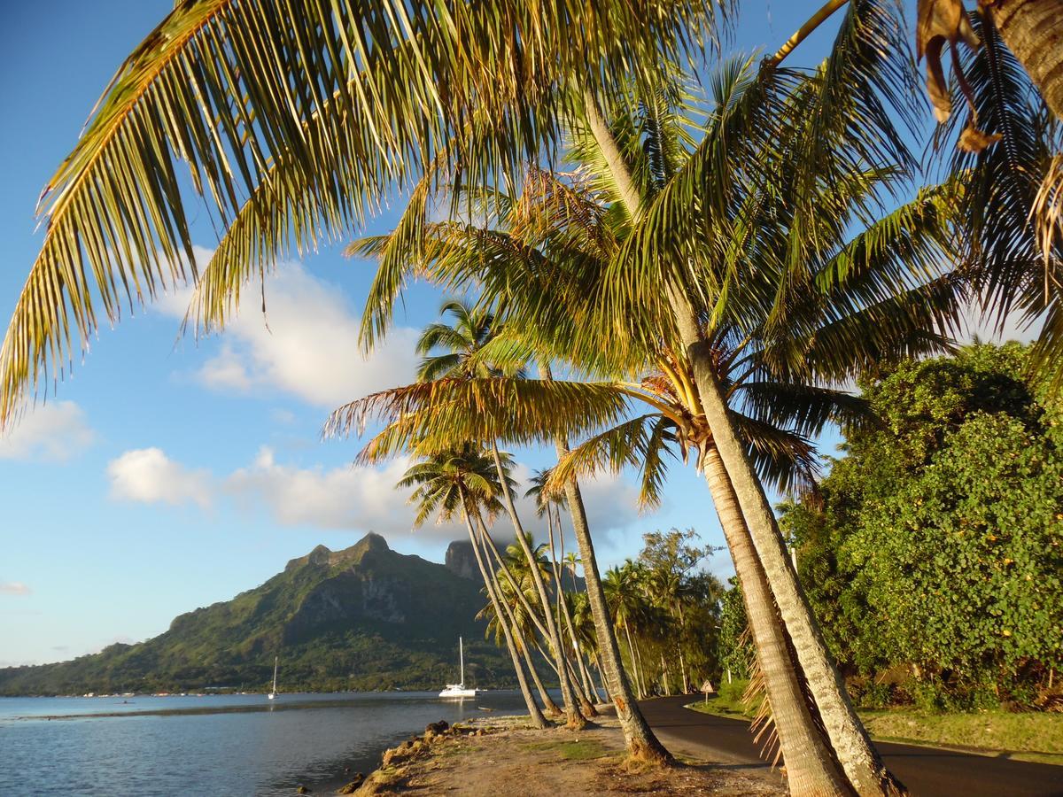 Hotel Village Temanuata