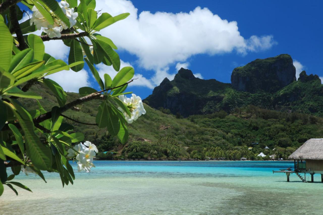 Sofitel Private Island 5*