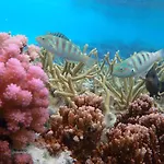 Conrad Bora Bora Nui