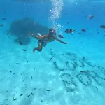 Vaitealodge