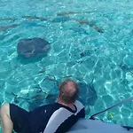 Vaitealodge