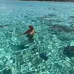 Vaitealodge