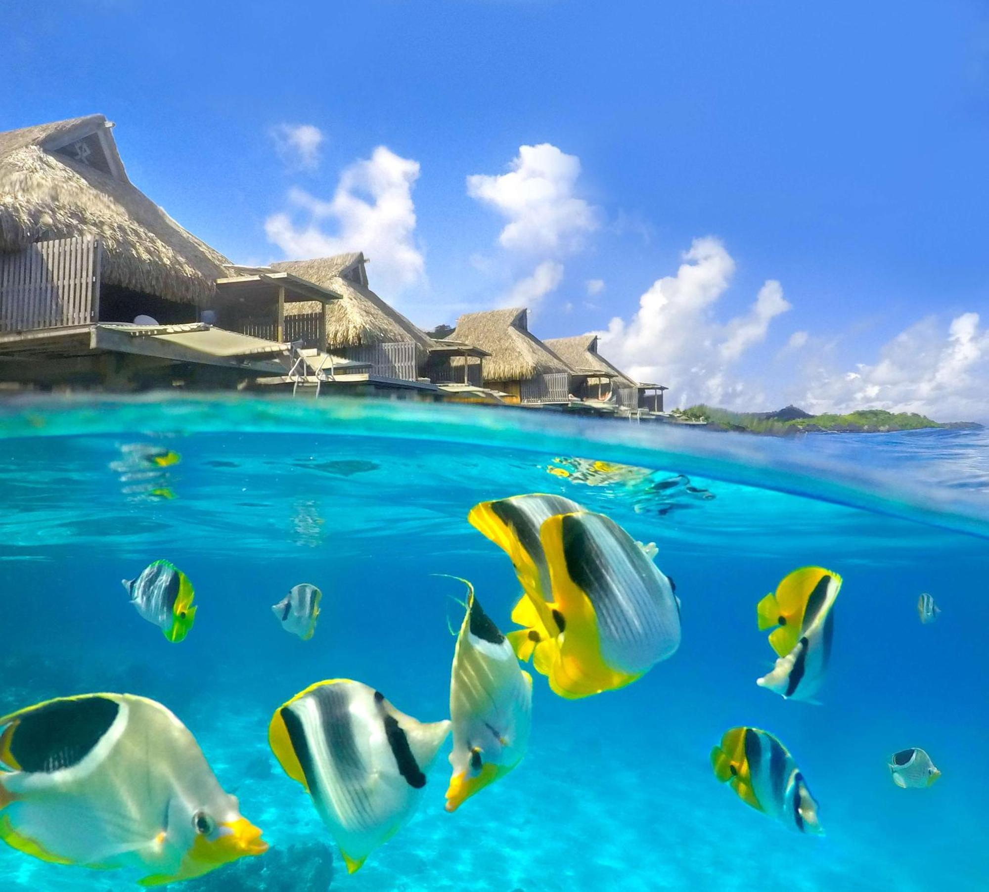 Conrad Nui 5* Bora Bora