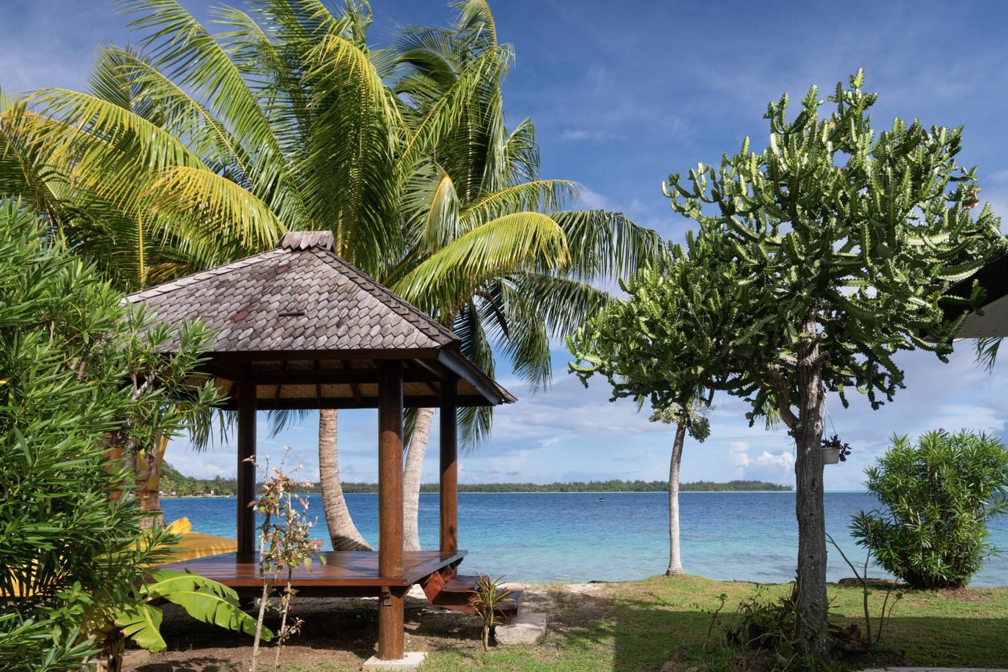Paradise *
