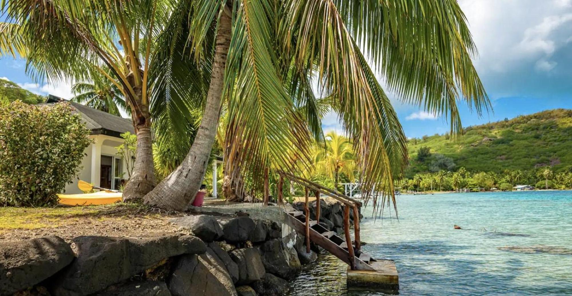 Paradise *