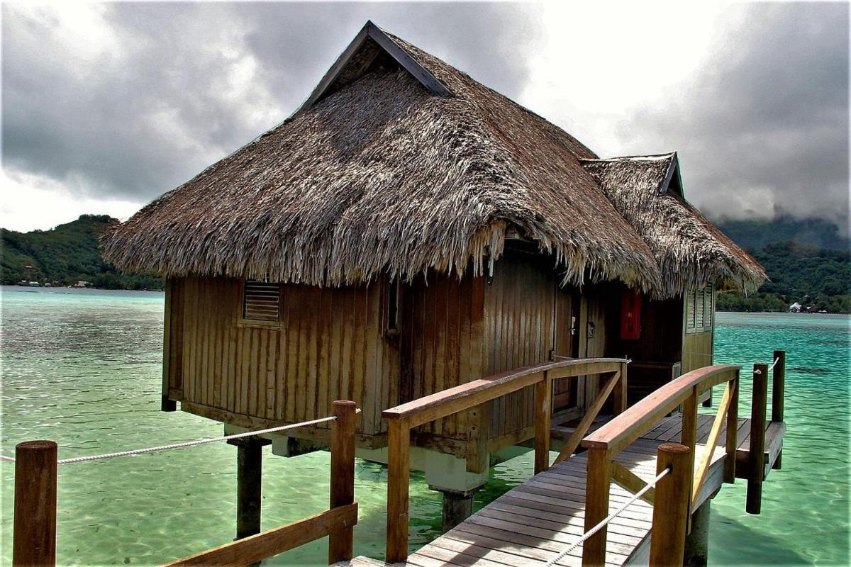 Aparthotel Island