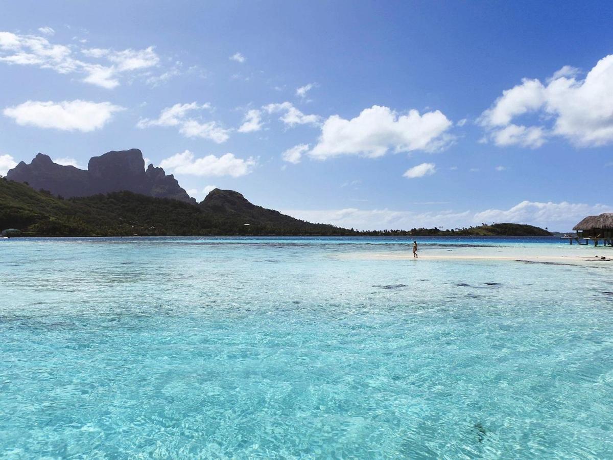 Island *