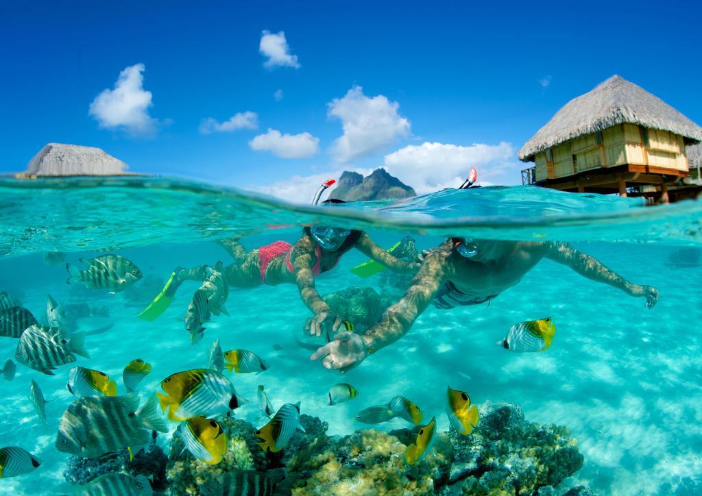 Le By Pearl Bora Bora
