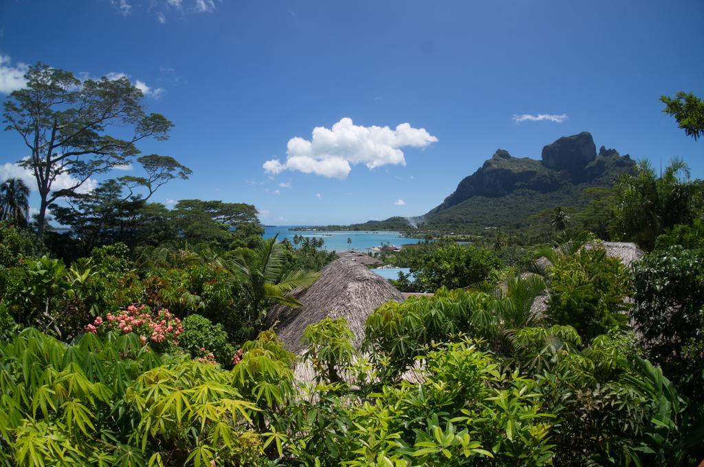 Rohotu Fare Bora Bora