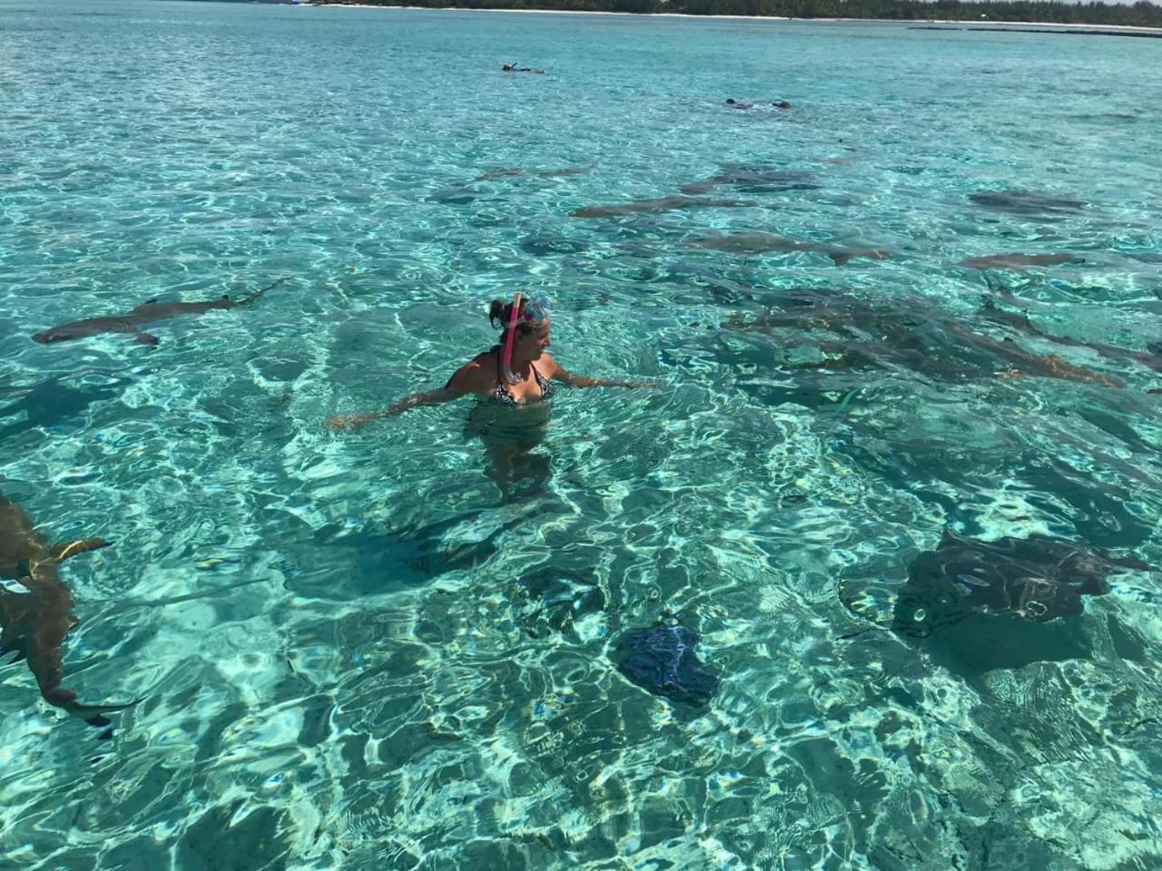 Vaitealodge * Bora Bora
